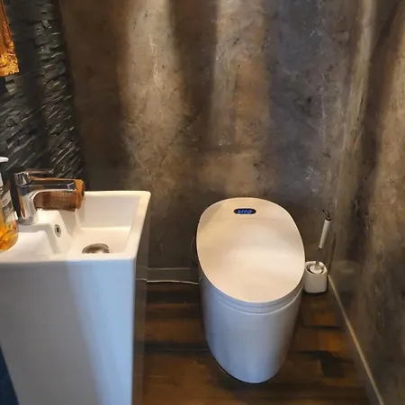 Belle Sur , 6 Avec Piscine, Hammam Et Sauna * Pessac